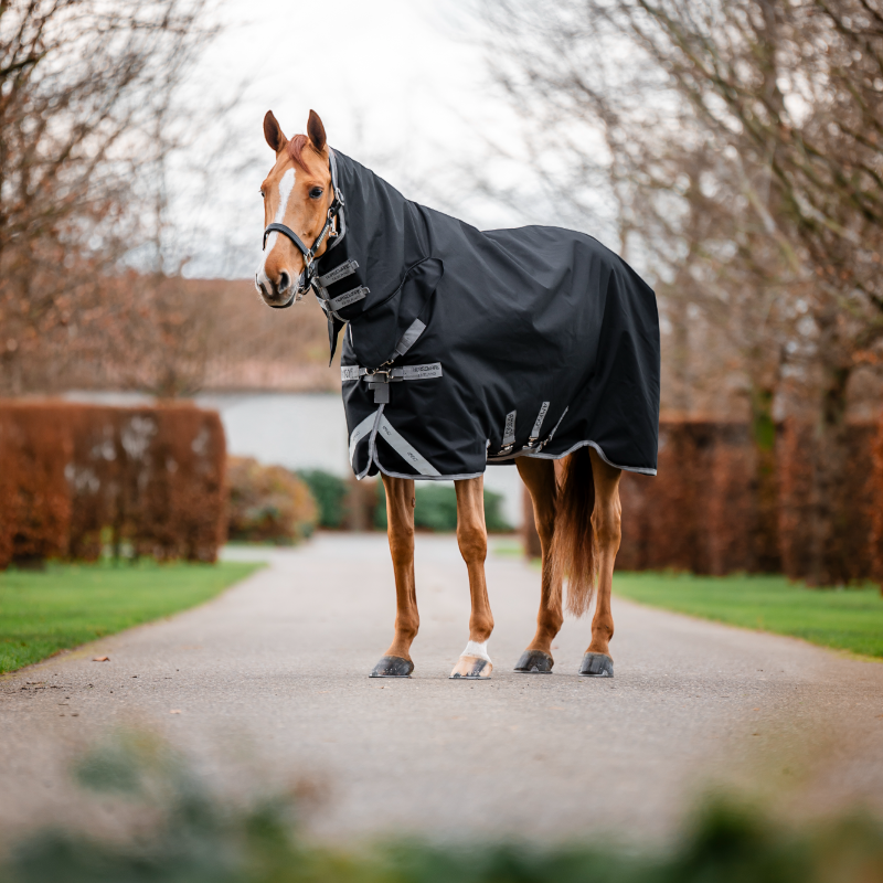 Horseware - Amigo Bravo Integrated Turnout Outdoor Rug black/ titanium grey/ silver 150g | - Ohlala