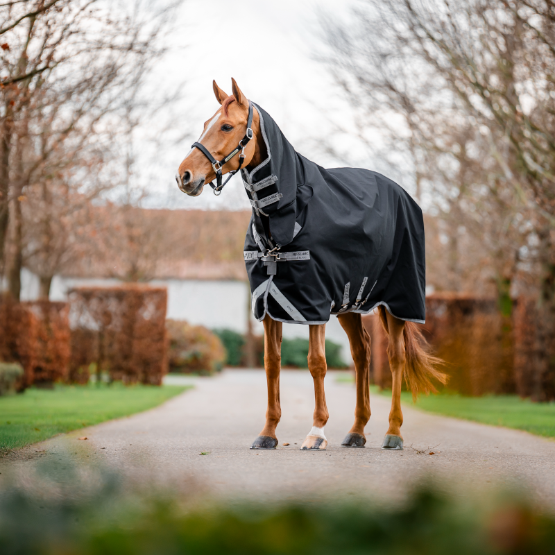 Horseware - Amigo Bravo Integrated Turnout Outdoor Rug black/ titanium grey/ silver 150g | - Ohlala