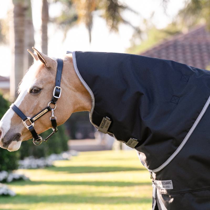 Horseware - Couverture d'extérieur Amigo Bravo Plus Pony Turnout noir/ titanium grey/ argent 50g | - Ohlala