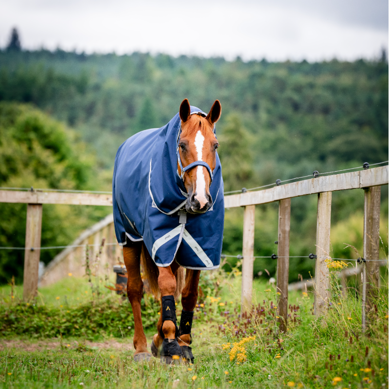 Horseware - Amigo Bravo Plus Turnout Outdoor Blanket navy/ titanium grey/ silver 100g | - Ohlala
