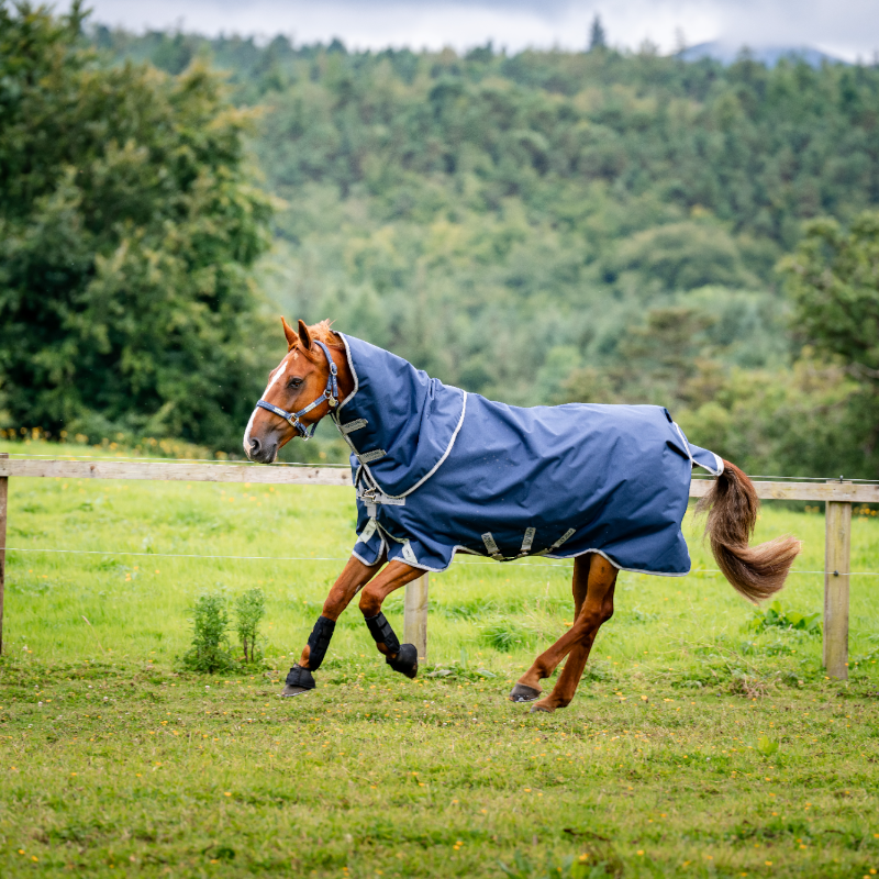 Horseware - Derka zewnętrzna Amigo Bravo Plus Turnout granatowa/ titanium grey/ srebrna 50g | - Ohlala