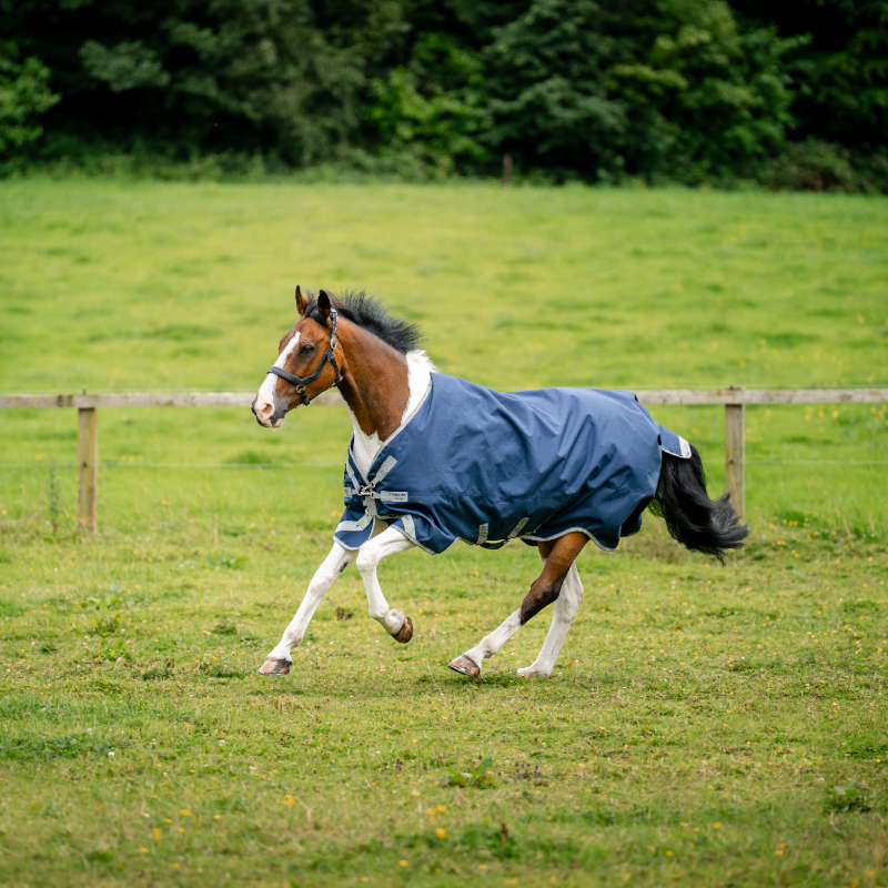 Horseware - Amigo Bravo XL Turnout Outdoor Blanket Navy/ Titanium Grey/ Silver 150g | - Ohlala