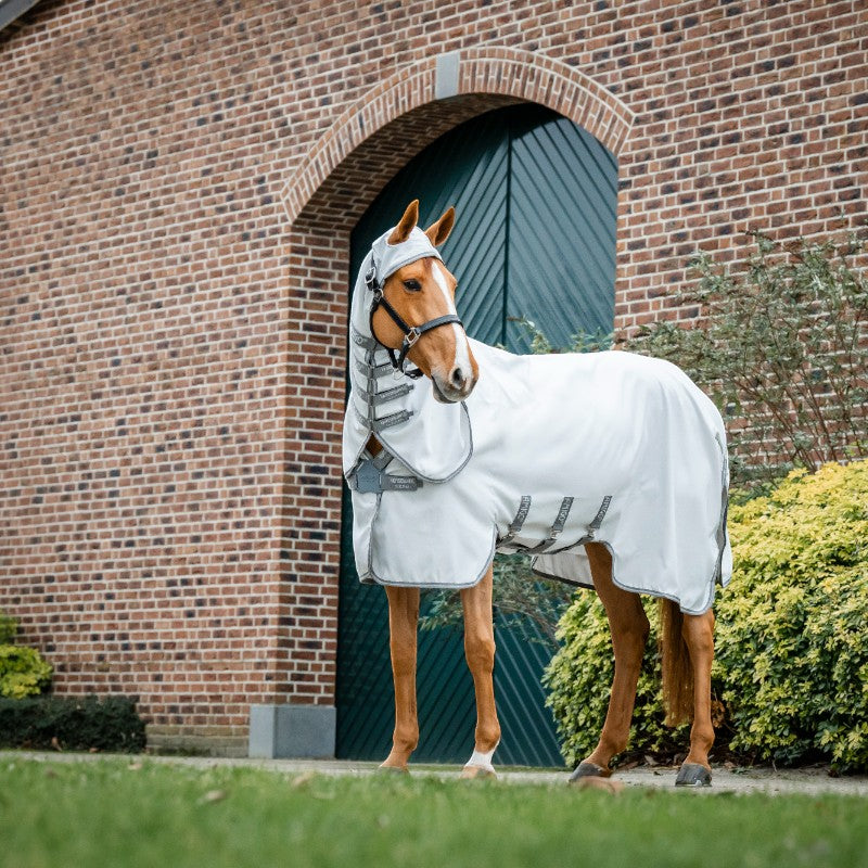 Horseware - Amigo Ripstop Hoody Turnout Rug Silver/Titanium Grey/Silver | - Ohlala