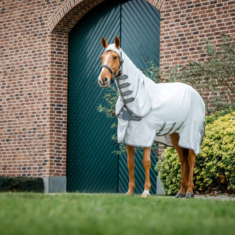 Horseware - Amigo Ripstop Hoody Outdoor Rug silver/ titanium grey/ silver | - Ohlala