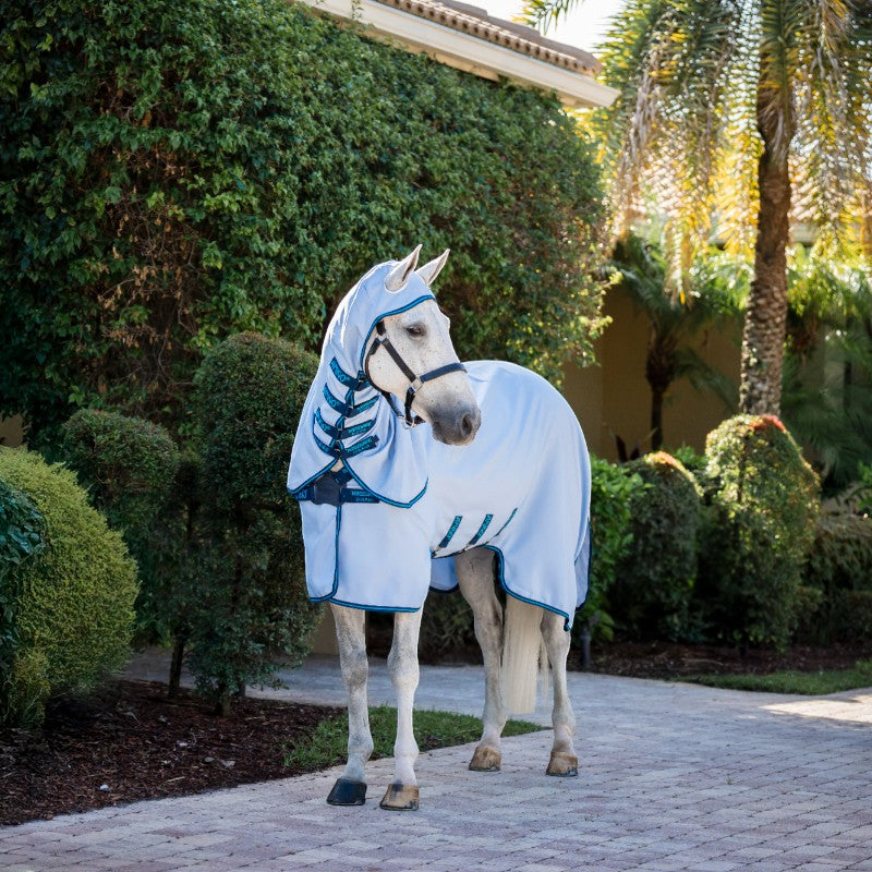 Horseware - Außendecke Amigo Ripstop Hoody azurblau/ marine/ elektrischblau | - Ohlala