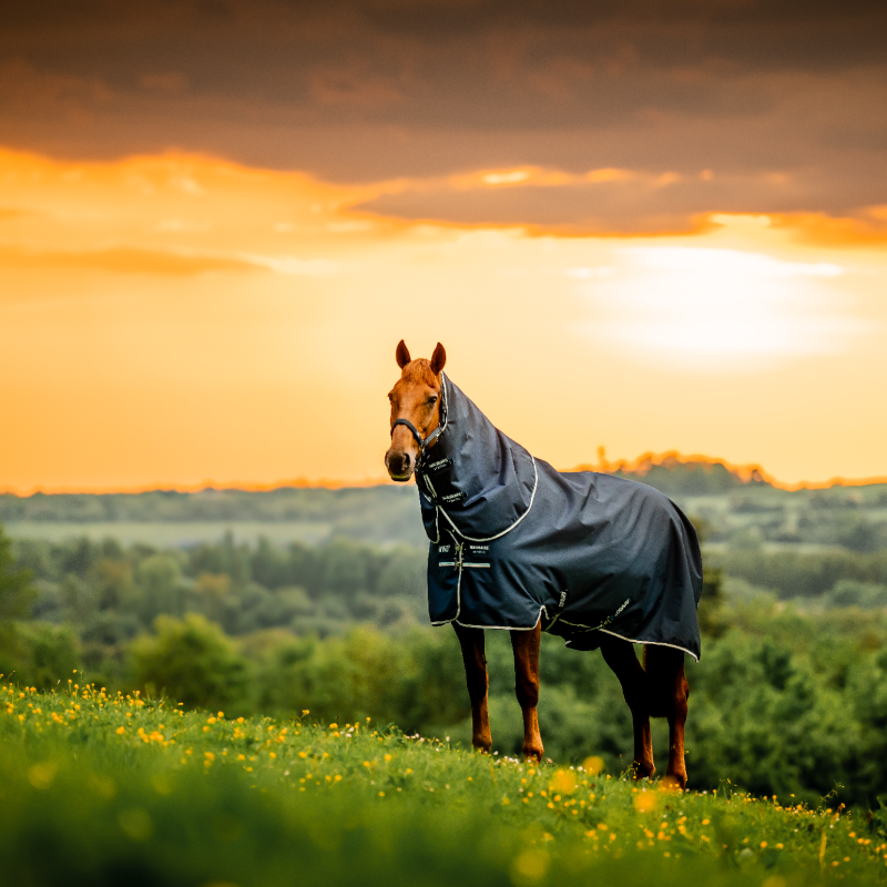 Horseware - Derka zewnętrzna Amigo Ripstop Plus Turnout witney navy 100g | - Ohlala
