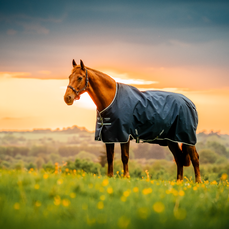 Horseware - Amigo Ripstop Pony Turnout Outdoor Rug witney navy 200g | - Ohlala