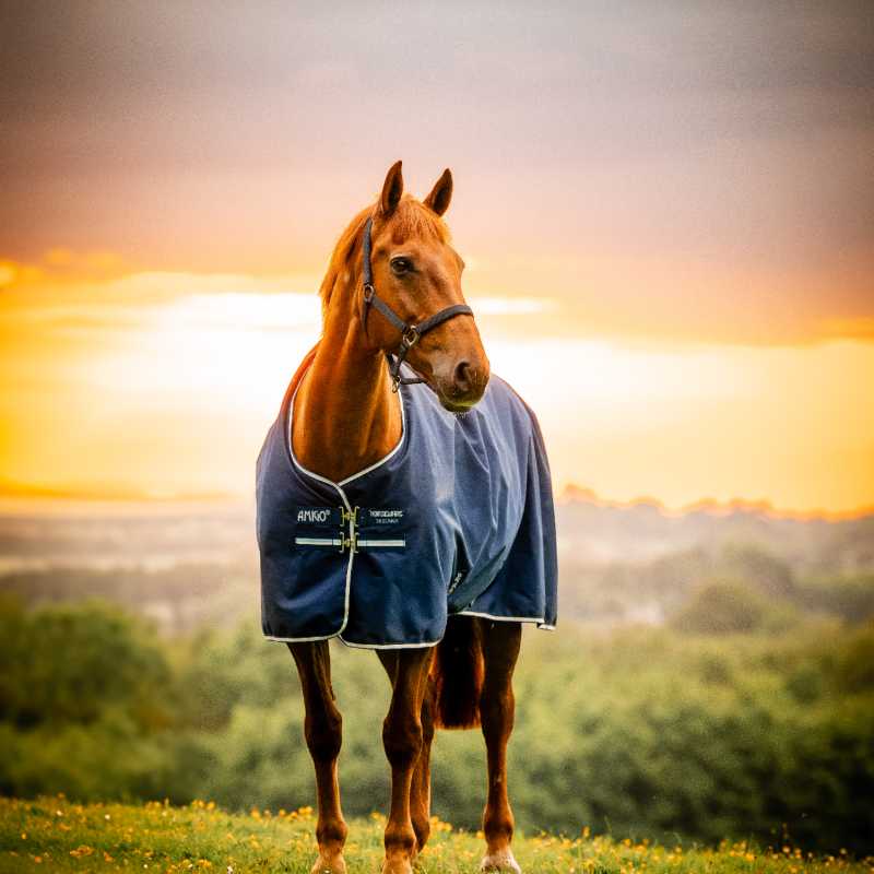 Horseware - Amigo Ripstop Pony Turnout Outdoor Rug witney navy 200g | - Ohlala