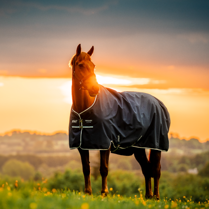 Horseware - アミーゴ リップストップ ターンアウト ラグ フリース裏地付き ウィットニーネイビー 50g | - Ohlala