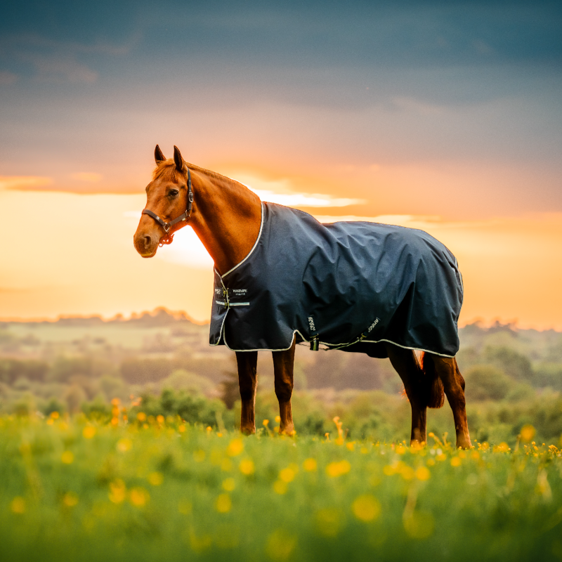 Horseware - Couverture d'extérieur Amigo Ripstop Turnout witney navy 0g | - Ohlala