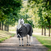 Horseware - Rambo Turnout VL Outdoor Blanket black/ thunderstorm grey/ silver 250g | - Ohlala