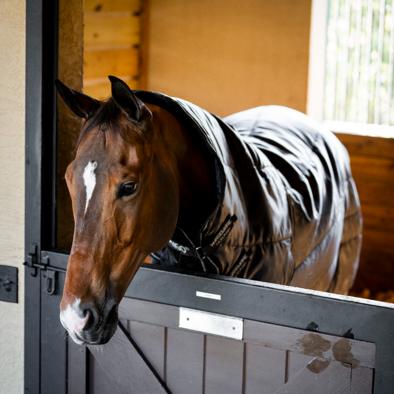Horseware - Manta de cuadra Amigo Ripstop Insulator Plus Stable negro/ plata 350g | - Ohlala