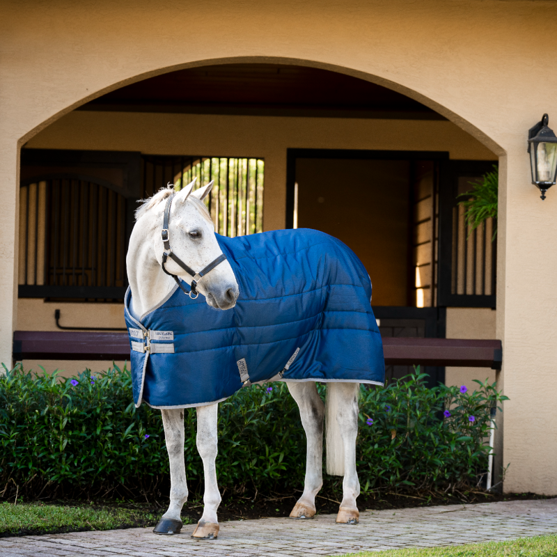 Horseware - アミーゴ リップストップ インシュレーター ポニー スタブルラグ マリン/チタニウムグレー 100g | - Ohlala