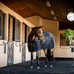 Horseware - Manta de cuadra Amigo Ripstop Insulator Stable negro/ plata 350g | - Ohlala