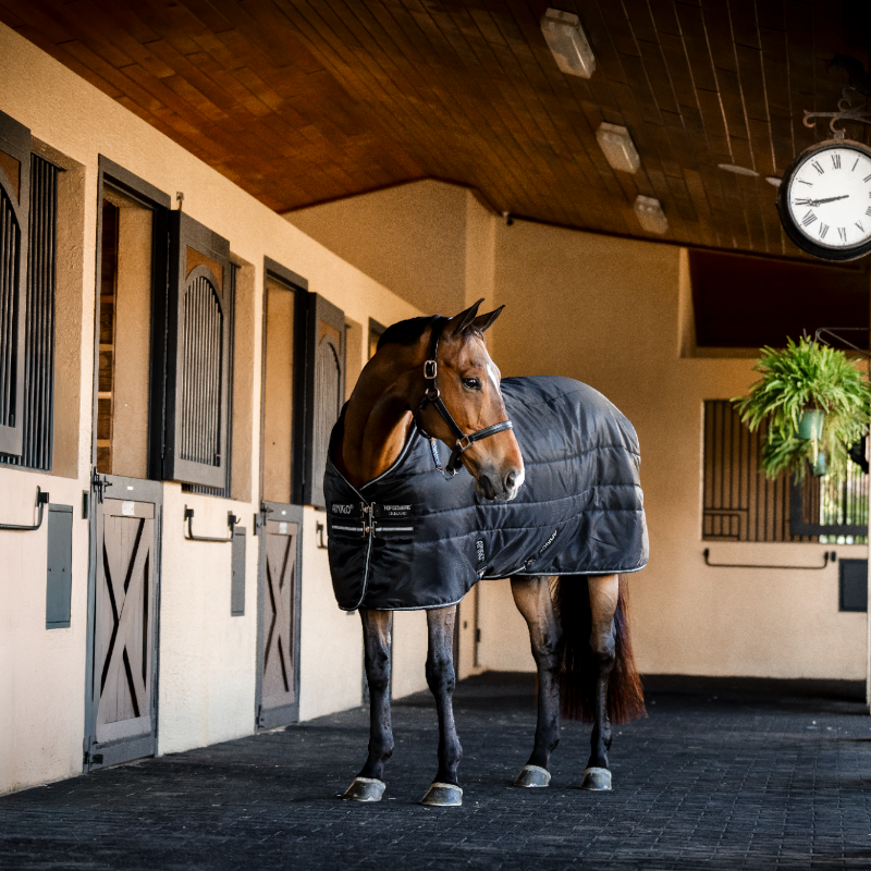 Horseware - Manta de cuadra Amigo Ripstop Insulator Stable negro/ plata 350g | - Ohlala