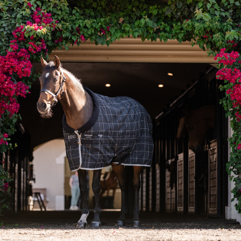 Horseware - Rhino Pony Stable VL stable rug black/ grey/ white check/ grey 250g | - Ohlala