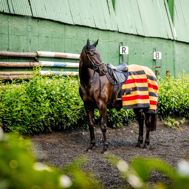 Horseware - Couverture polaire Newmarket witney gold