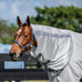 Horseware - Amigo Bug Rug fly neck cover silver/ titanium grey/ silver | - Ohlala