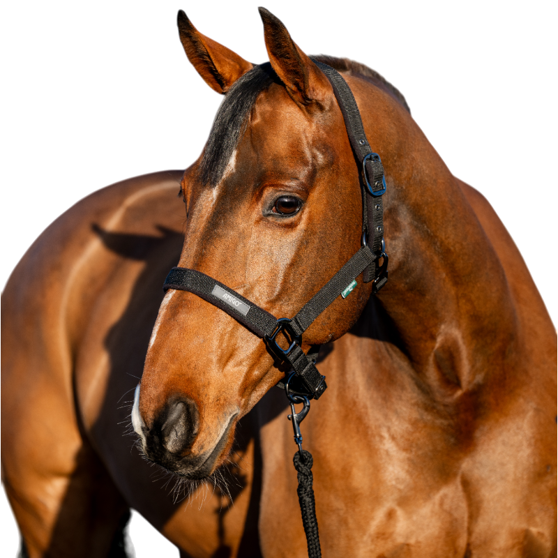 Horseware - Amigo Halter and Lead Rope black | - Ohlala