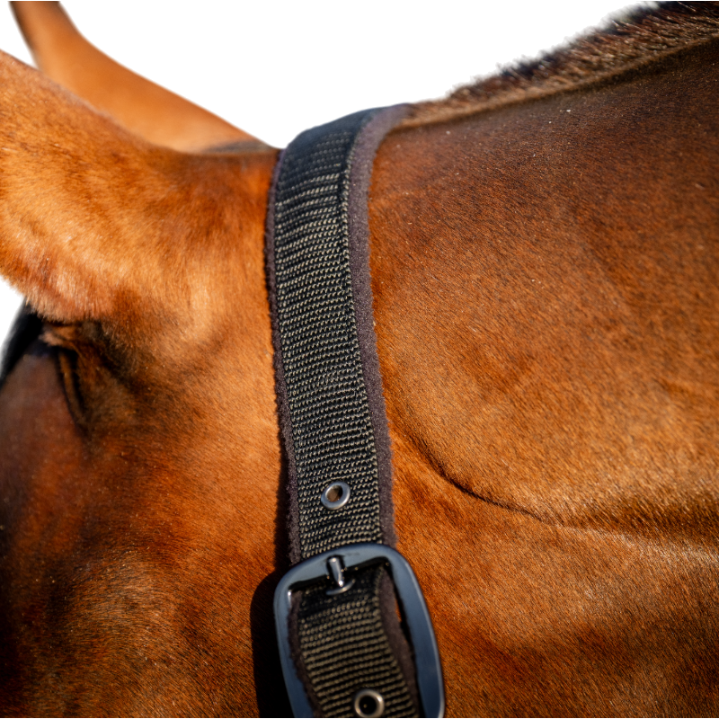 Horseware - Capezza e longhina Amigo nera | - Ohlala
