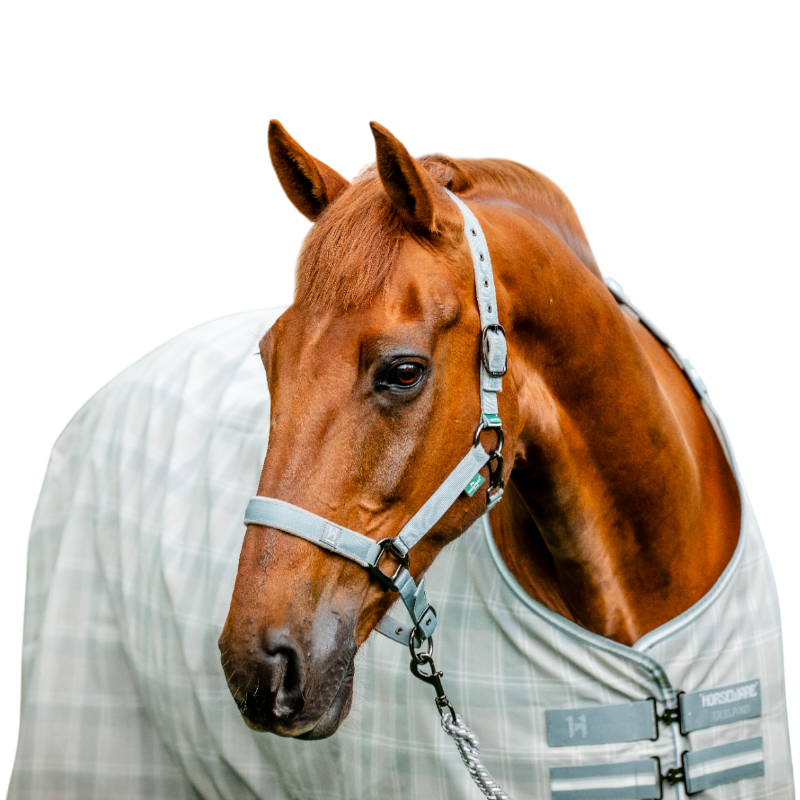 Horseware - Halfter und Führstrick Newmarket witney charcoal | - Ohlala