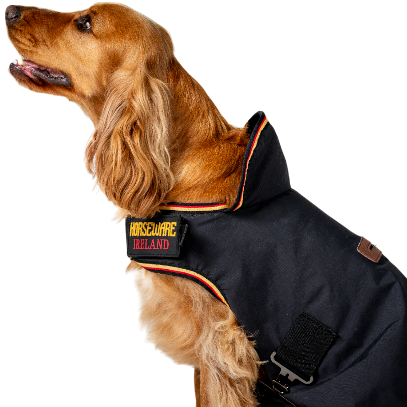 Horseware - Manteau pour chien Newmarket witney gold