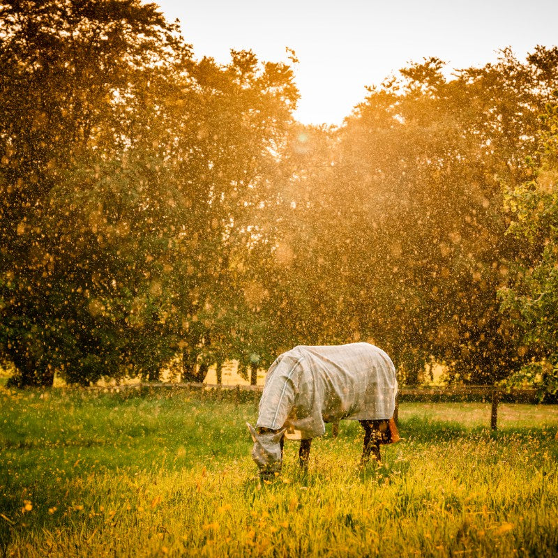 Horseware - Newmarket witney charcoal 防虫マスク | - Ohlala