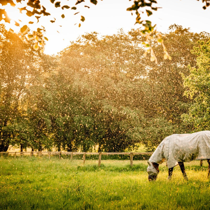 Horseware - Newmarket witney charcoal 防虫マスク | - Ohlala