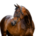 Horseware - Figure black crossover noseband bridle | - Ohlala