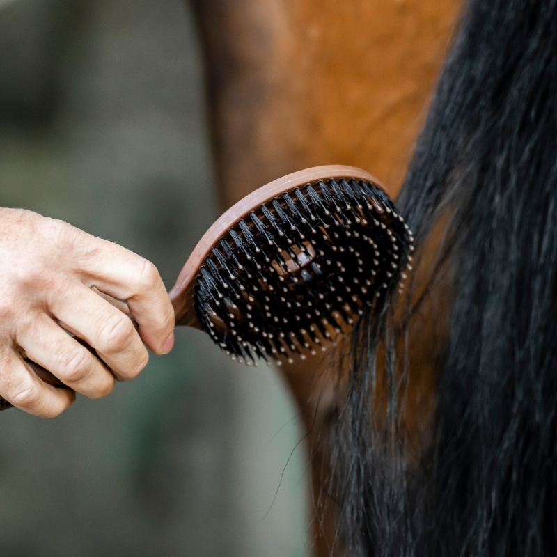 Horseware - Escova de crina Mane efeito madeira | - Ohlala
