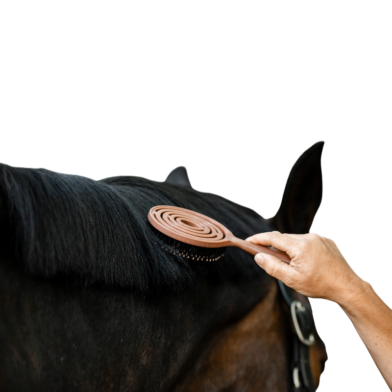 Horseware - Mane Wood Effect Mane & Tail Brush | - Ohlala