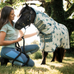Horseware - Fliegendecke Amigo Bug Rug Plus Petite Libellen-Print/ Silber/ Blau/ Salbei | - Ohlala