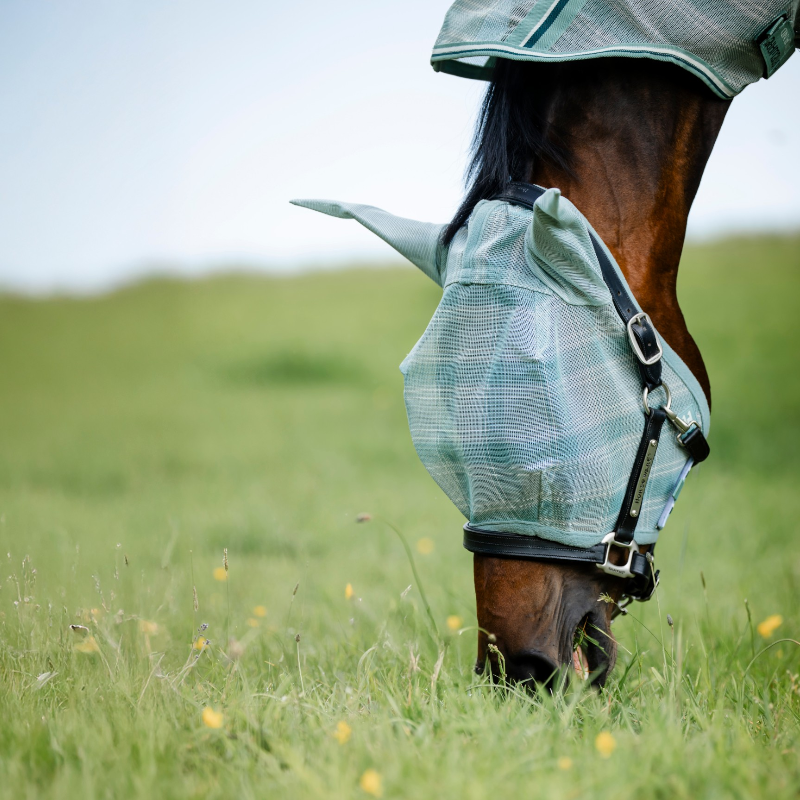 Horseware - Maschera antimosche Newmarket witney dynasty | - Ohlala