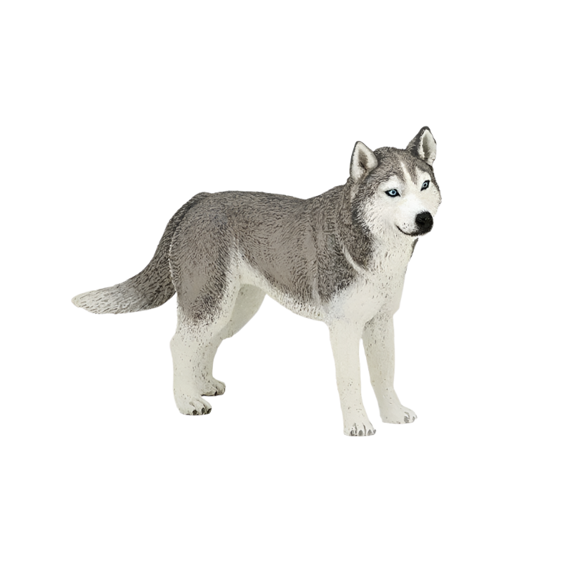 Papo - Figura Husky Siberiano | - Ohlala