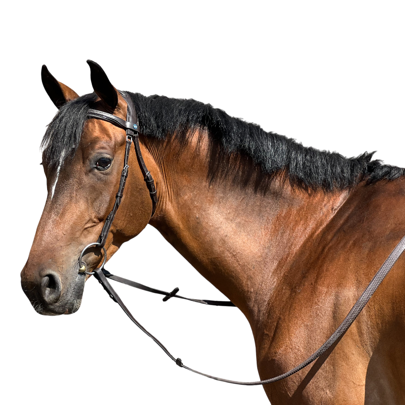 TdeT - Cabezada Essentiel Confort sin muserola marrón oscuro | - Ohlala