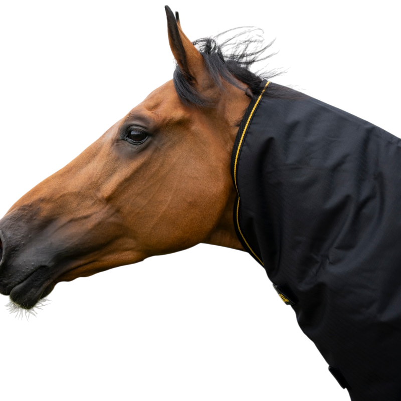 Bucas - Coperta da esterno Irish Turnout 300 nero/ gold coprispalla amovibile 300g