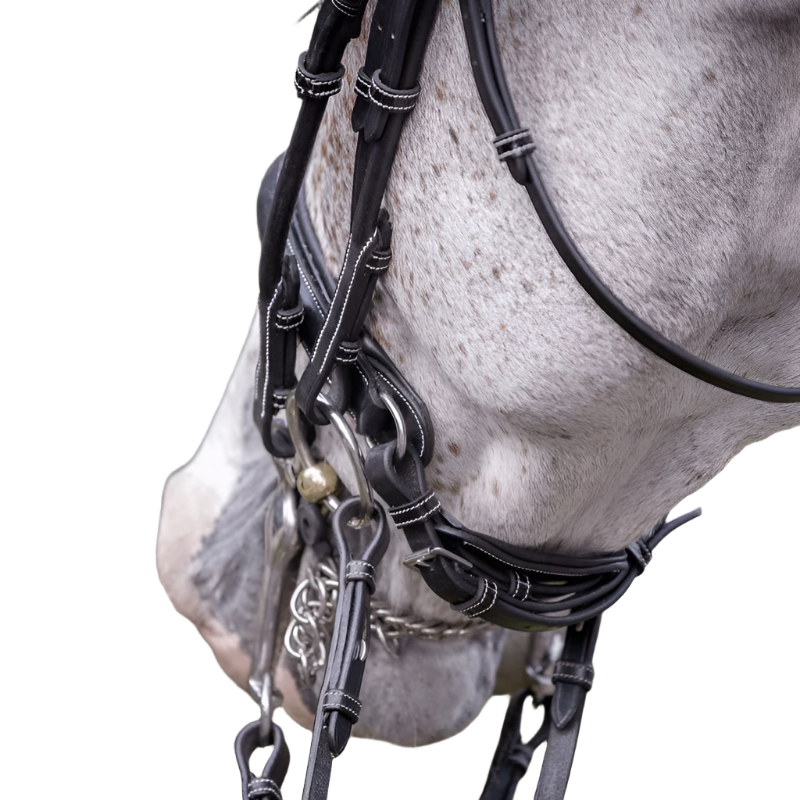 Jump'In - Patent leather bridle with reins | - Ohlala