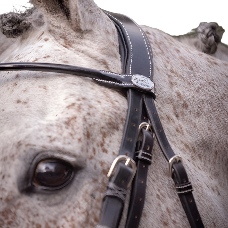 Jump'In - Patent leather bridle with reins | - Ohlala