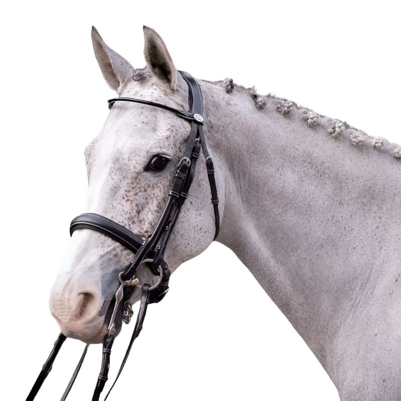Jump'In - Patent leather bridle with reins | - Ohlala