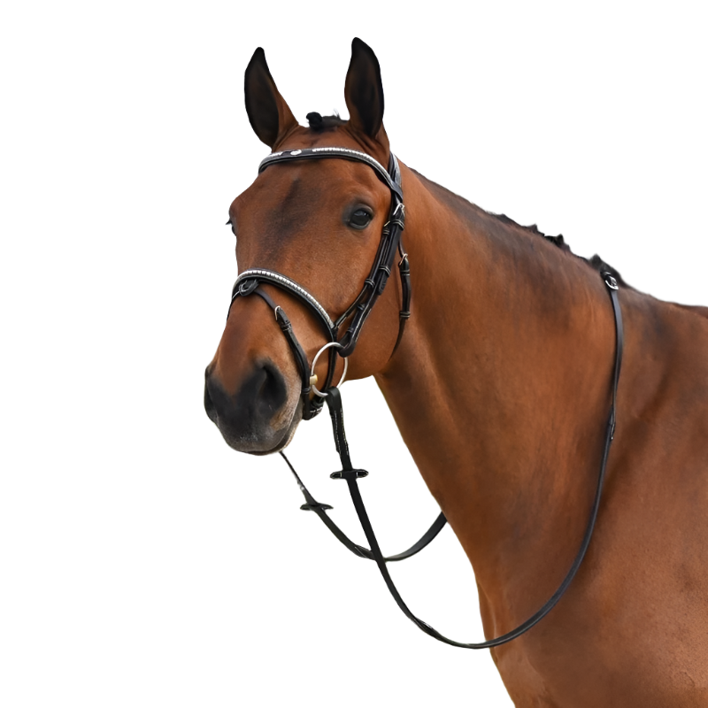 Jump'In - Bridon One Premium Clincher noir | - Ohlala