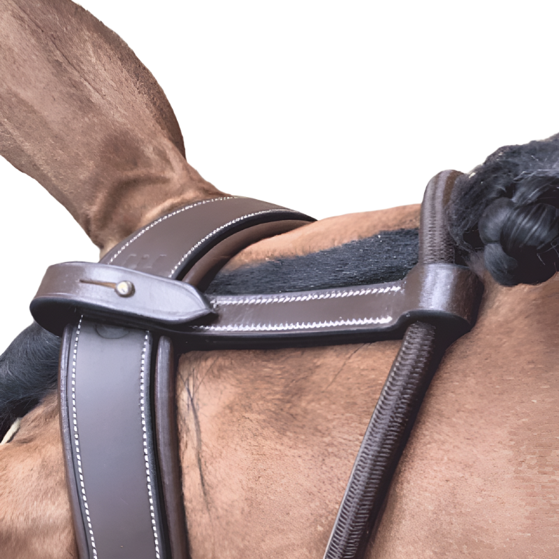 Jump'In - Patrick Running Martingale | - Ohlala