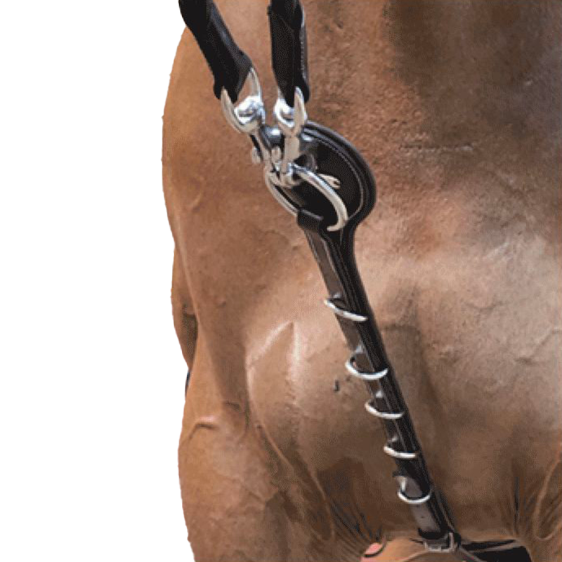 Jump'In - Patrick Running Martingale | - Ohlala