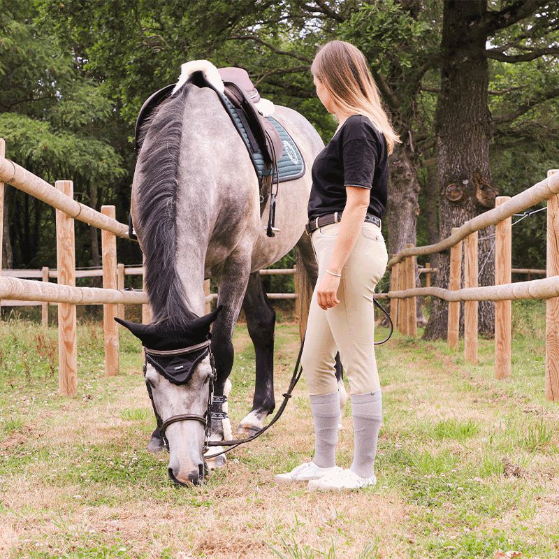 Jump'In - Brida One Paris con riendas Avellana | - Ohlala