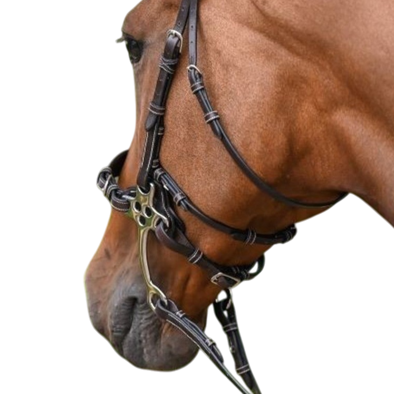 Jump'In - Montants et lanière pour hackamore collection Week havane | - Ohlala