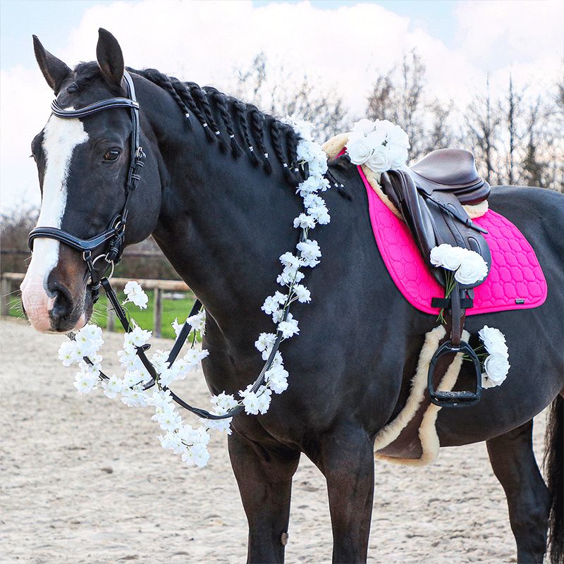 Jump'In - One New York Bridle with reins black | - Ohlala