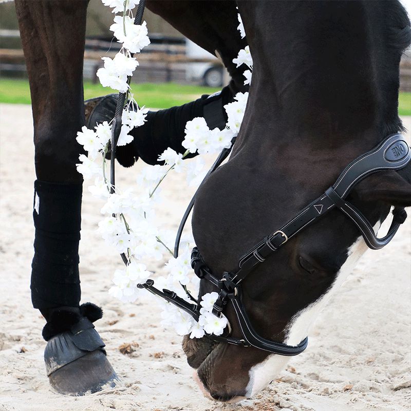 Jump'In - One New York Bridle with reins black | - Ohlala