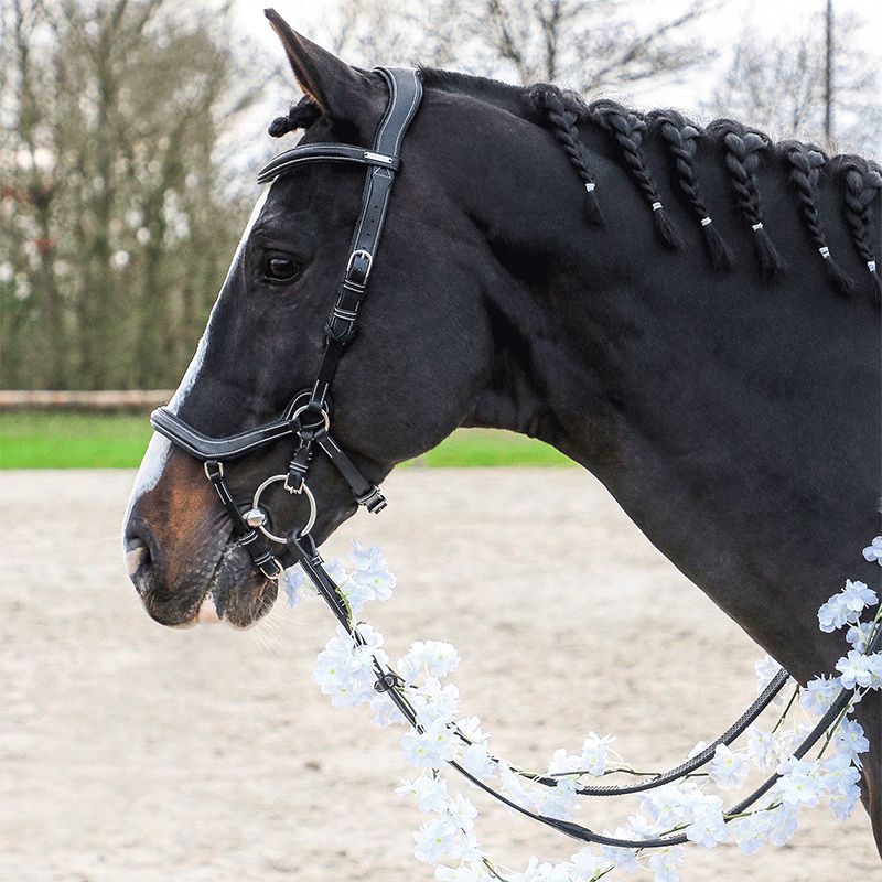 Jump'In - One New York Bridle with reins black | - Ohlala