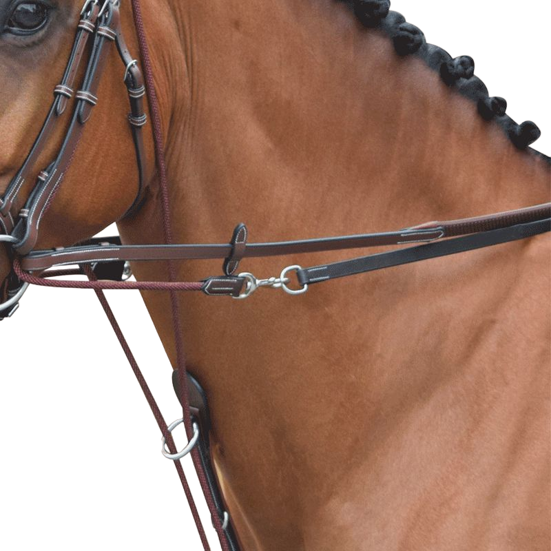 Jump'In - Gogue reins One Hazelnut | - Ohlala