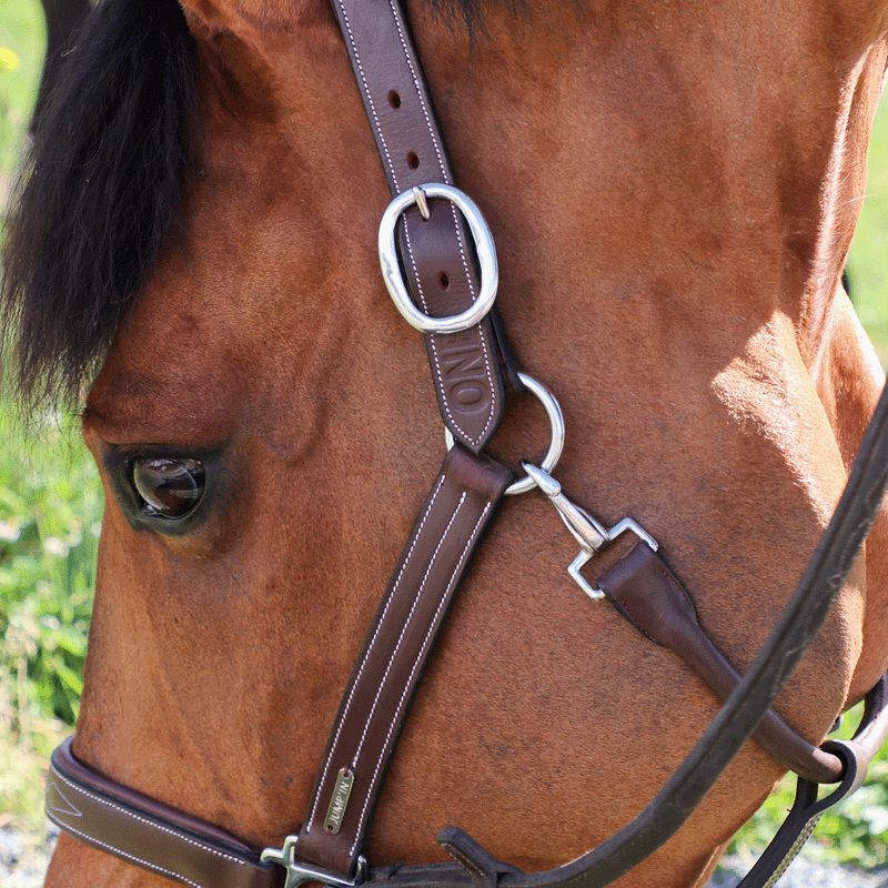 Jump'In - Fancy One Hazelnut Halter | - Ohlala