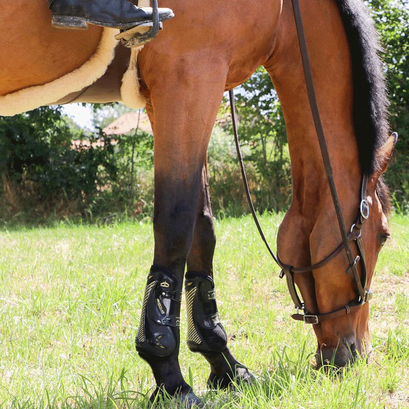 Jump'In - Fancy One Hazelnut Halter | - Ohlala